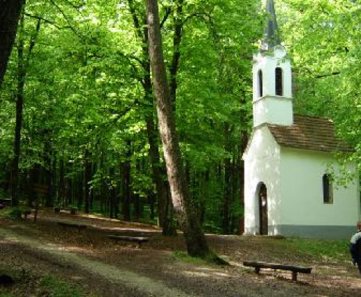 Sv. maša za delavce in kmete