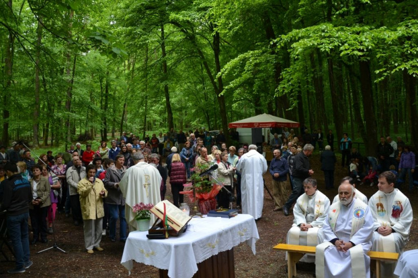 Sveti Vid - maša za delavce in kmete