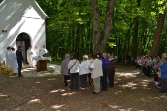 Sv. Vid - maša za delavce in kmete