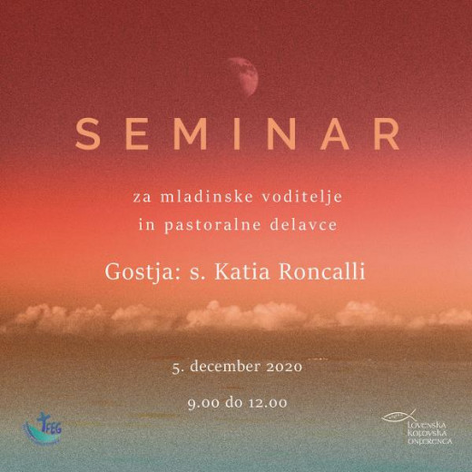Seminar za mladinske voditelje in pastoralne delavce
