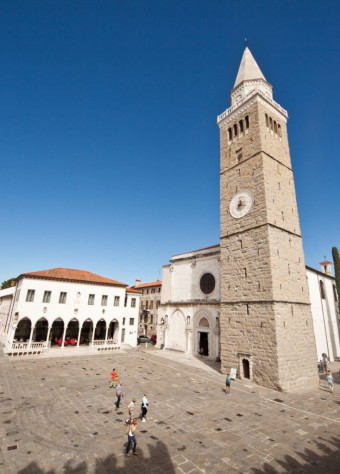 7. škofijsko romanje ministrantov