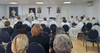 Škof na romanju