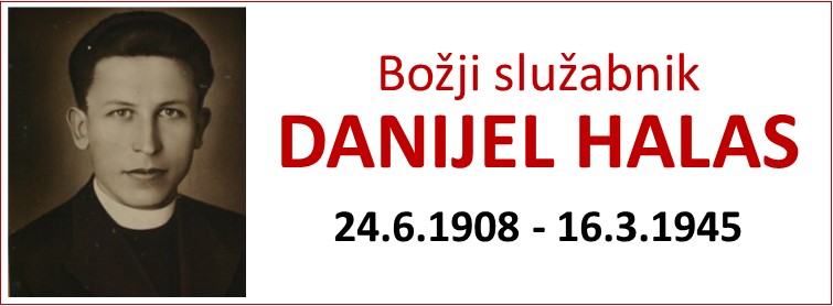 Banner Škofija Murska Sobota
