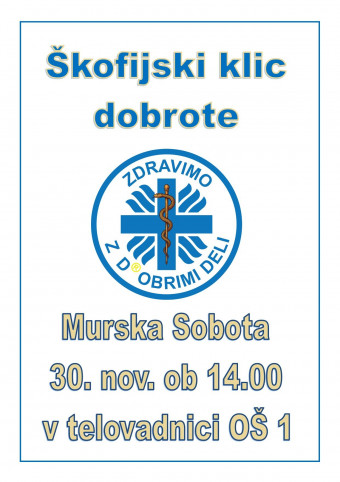 Škofijski klic dobrote