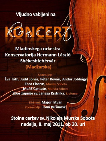 Koncert mladinskega orkestra iz Madžarske