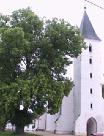 Martjanci - maldinsko molitveno srečanje