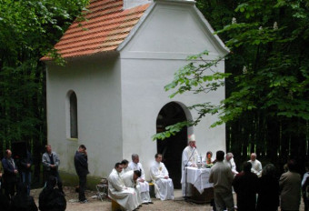 Vid - maša za delavce in kmete